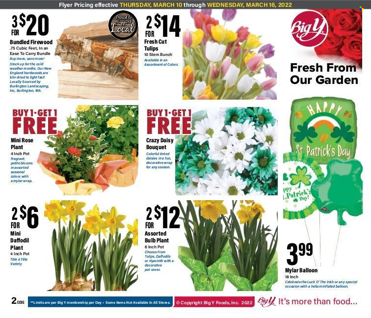 Big Y ad - 03/10/2022 - 03/16/2022. Page 3