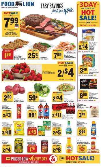 Food Lion Ad