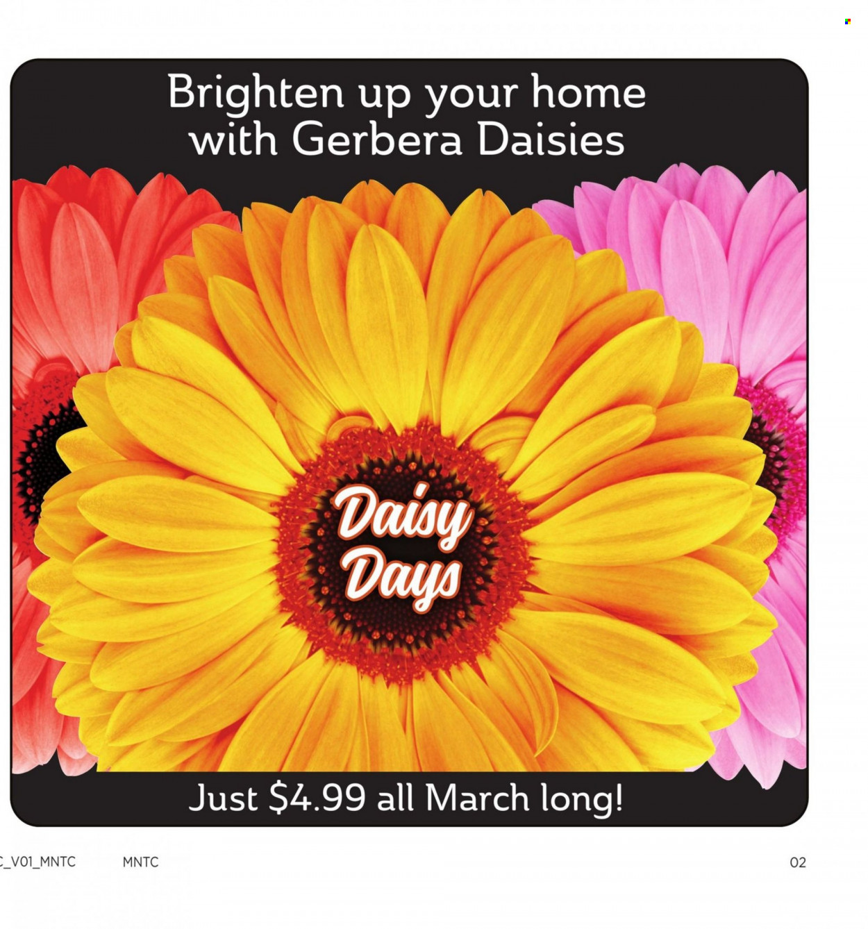 Cub Foods ad - 03/20/2022 - 04/02/2022. Page 4