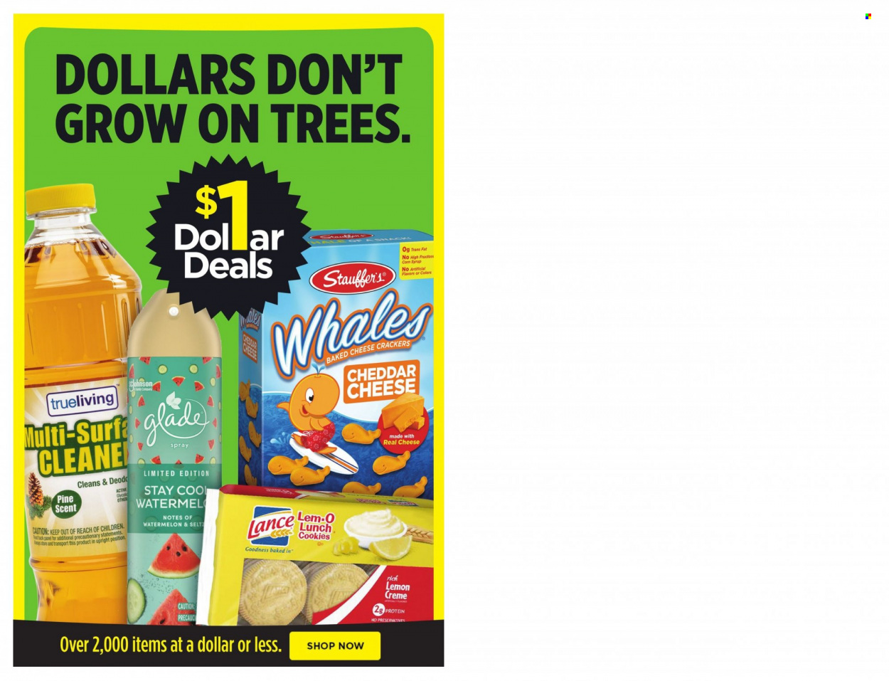 Dollar General ad - 03/27/2022 - 04/02/2022. Page 10