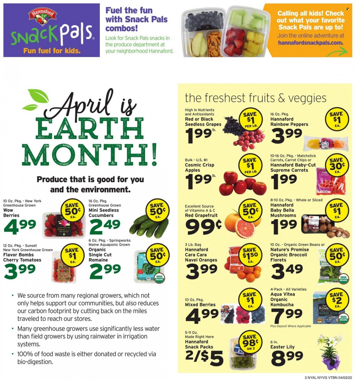Hannaford ad - 04/03/2022 - 04/09/2022. Page 3