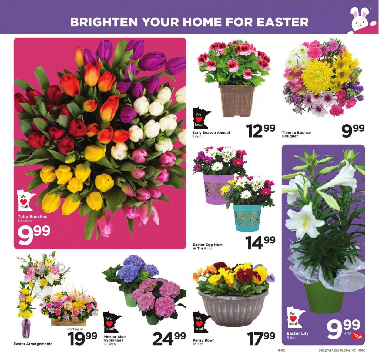 Cub Foods ad - 04/10/2022 - 04/17/2022. Page 10