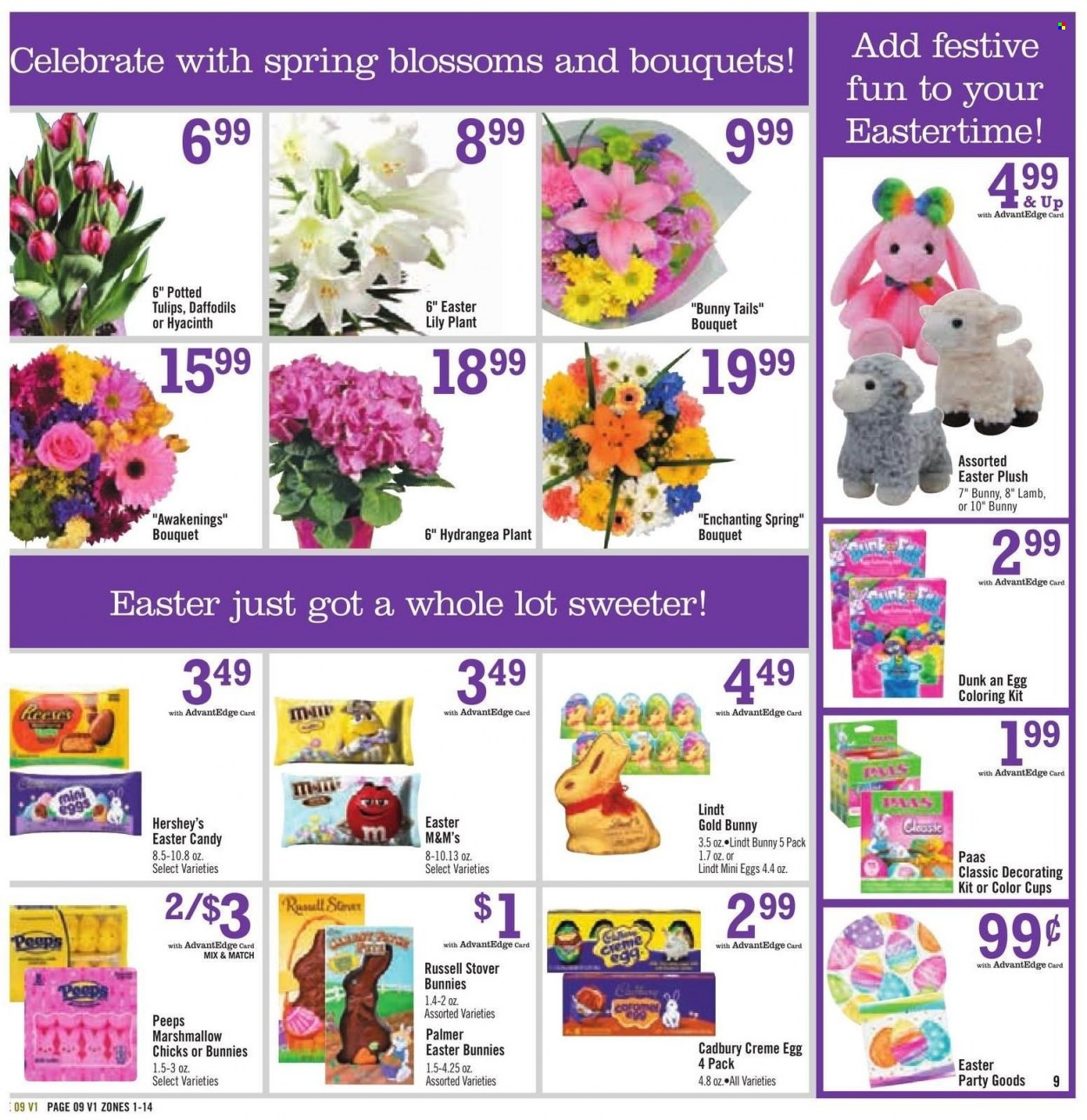 Price Chopper ad - 04/10/2022 - 04/16/2022. Page 9