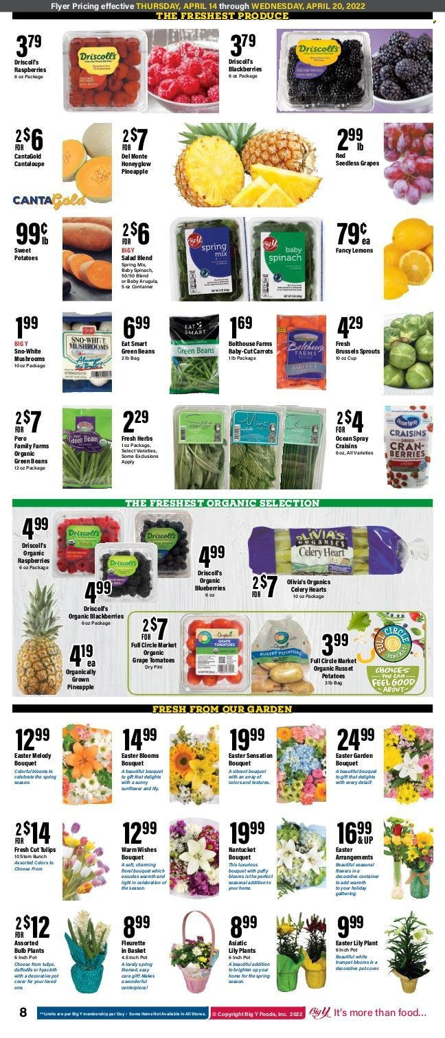 Big Y ad - 04/14/2022 - 04/20/2022. Page 8