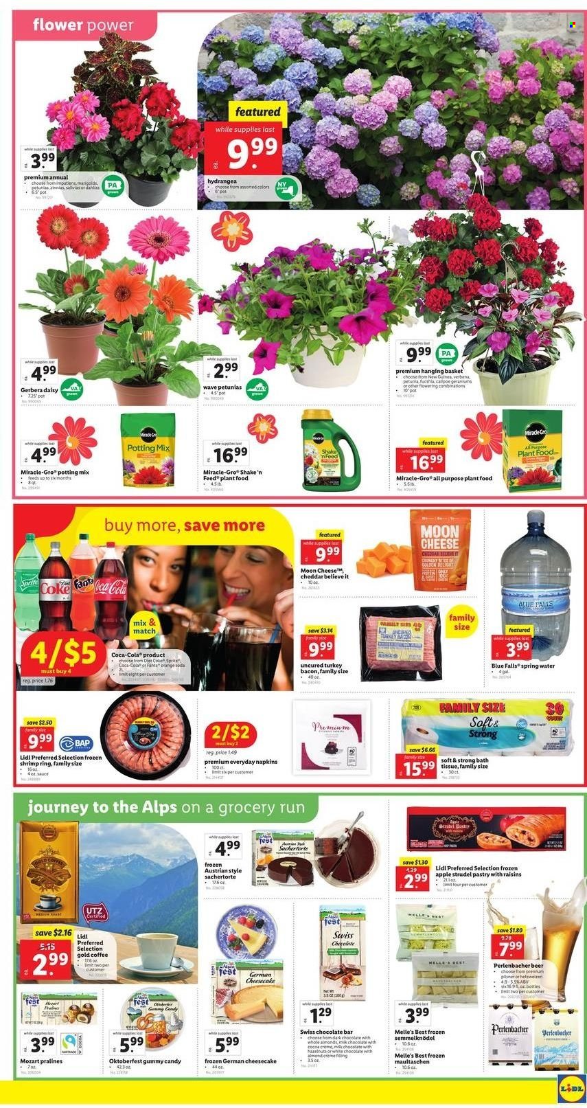 Lidl ad - 05/04/2022 - 05/10/2022. Page 3