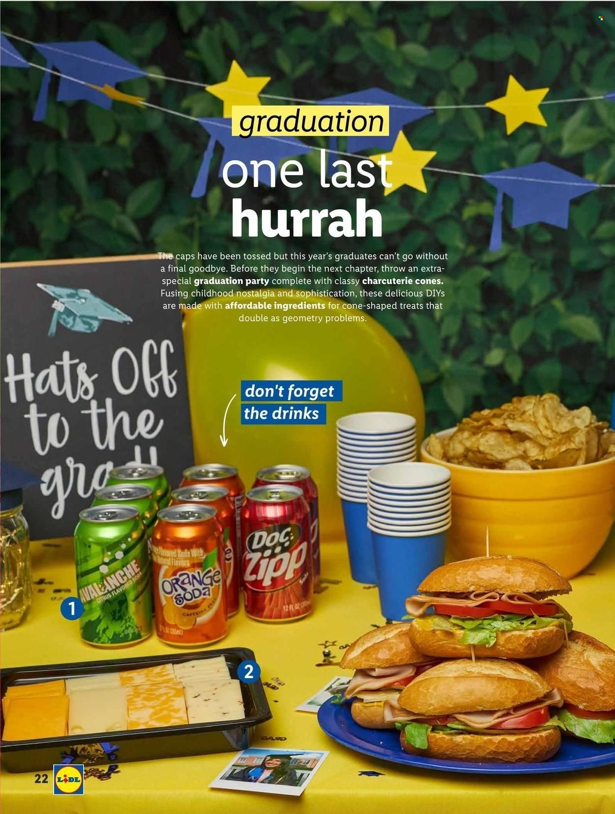 Lidl ad - 04/27/2022 - 06/14/2022. Page 22