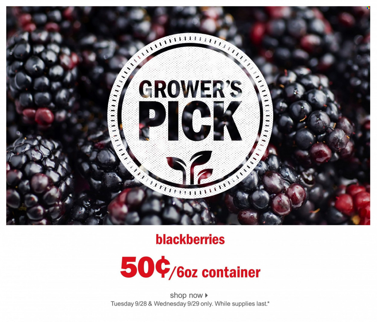 Meijer Flyer - 05/13/2022 - 05/14/2022 - Sales products - blackberries, container. Page 1.