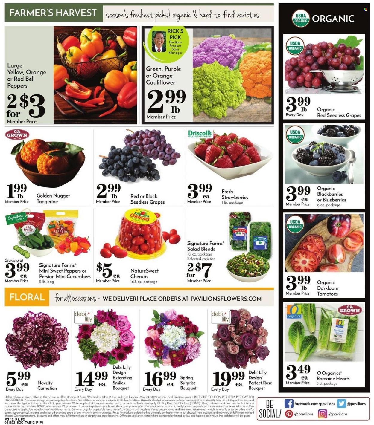 thumbnail - Pavilions Flyer - 05/18/2022 - 05/24/2022 - Sales products - bell peppers, cauliflower, cucumber, spinach, sweet peppers, tomatoes, salad, peppers, blackberries, blueberries, grapes, seedless grapes, strawberries, oranges, wine, rosé wine, bouquet, rose. Page 14.