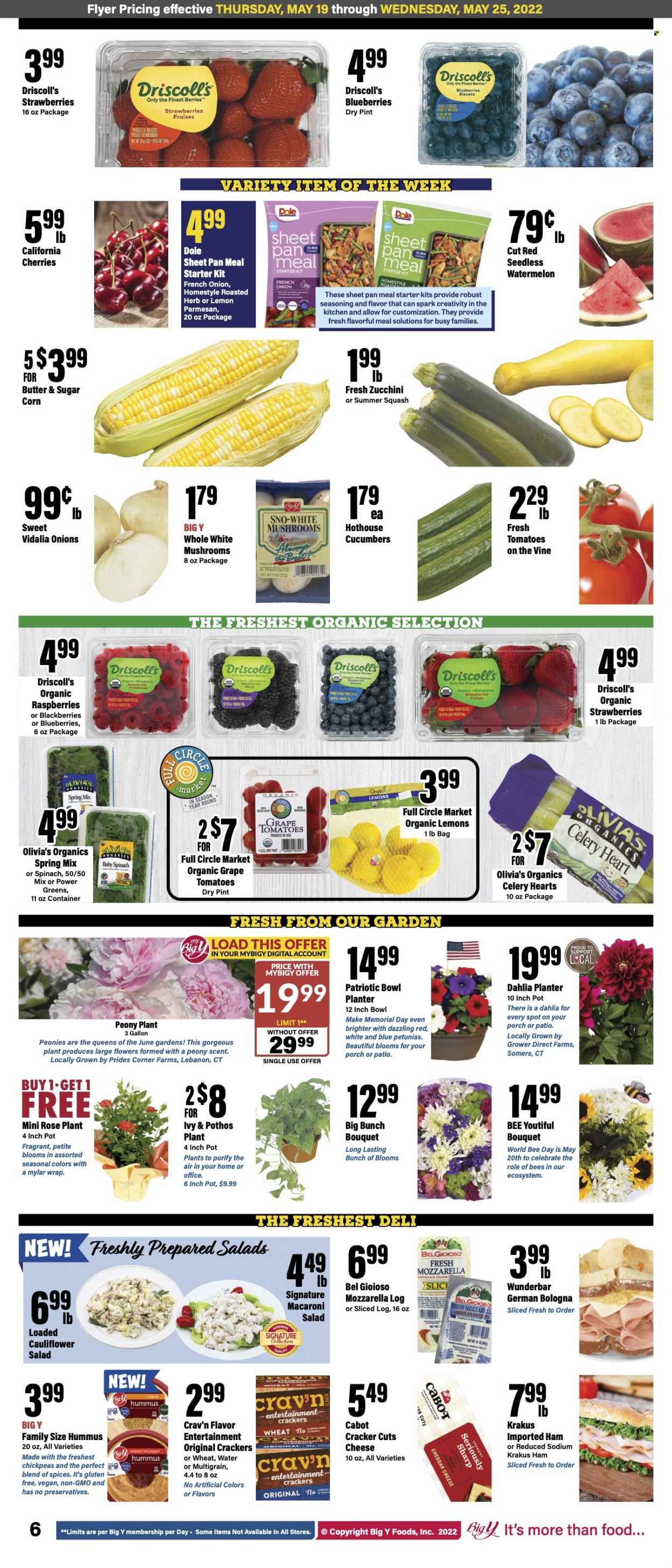 Big Y ad - 05/19/2022 - 05/25/2022. Page 7