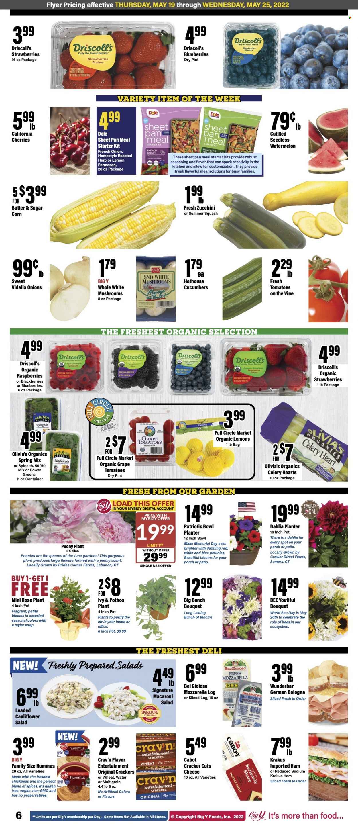 thumbnail - Big Y Flyer - 05/19/2022 - 05/25/2022 - Sales products - mushrooms, celery, corn, cucumber, spinach, tomatoes, zucchini, onion, salad, Dole, sleeved celery, blackberries, blueberries, strawberries, watermelon, cherries, macaroni, ham, german bologna, hummus, mozzarella, cheddar, parmesan, cheese, butter, crackers, chickpeas, spice, wine, rosé wine. Page 7.