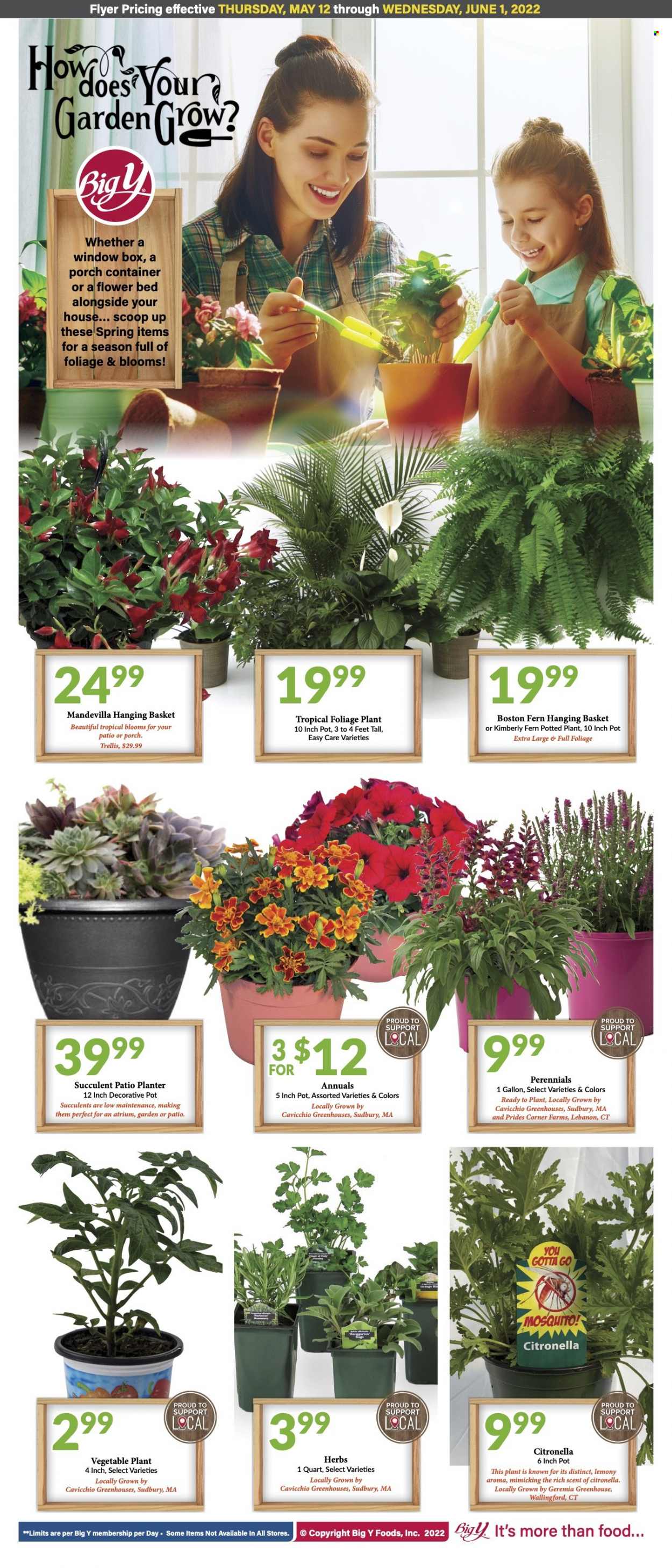 Big Y ad - 05/19/2022 - 05/25/2022. Page 10