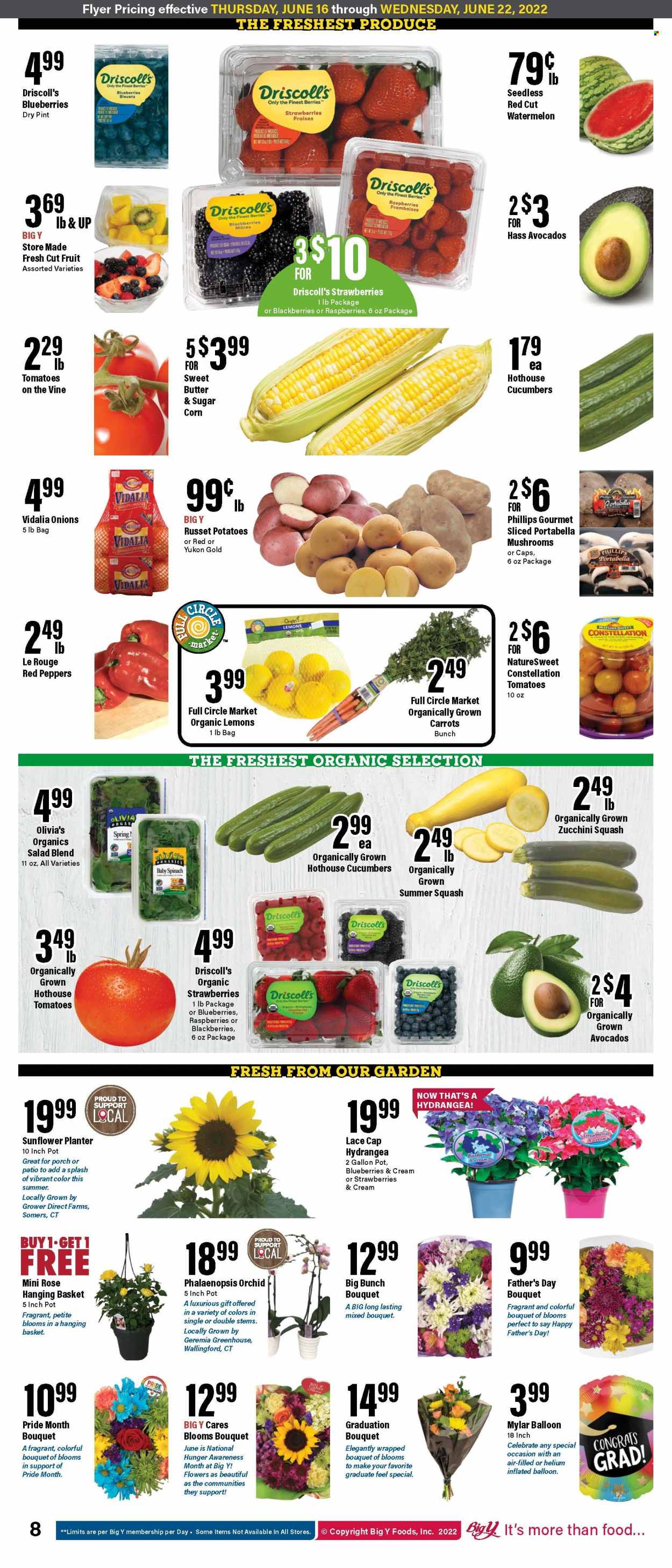 Big Y ad - 06/16/2022 - 06/22/2022. Page 8