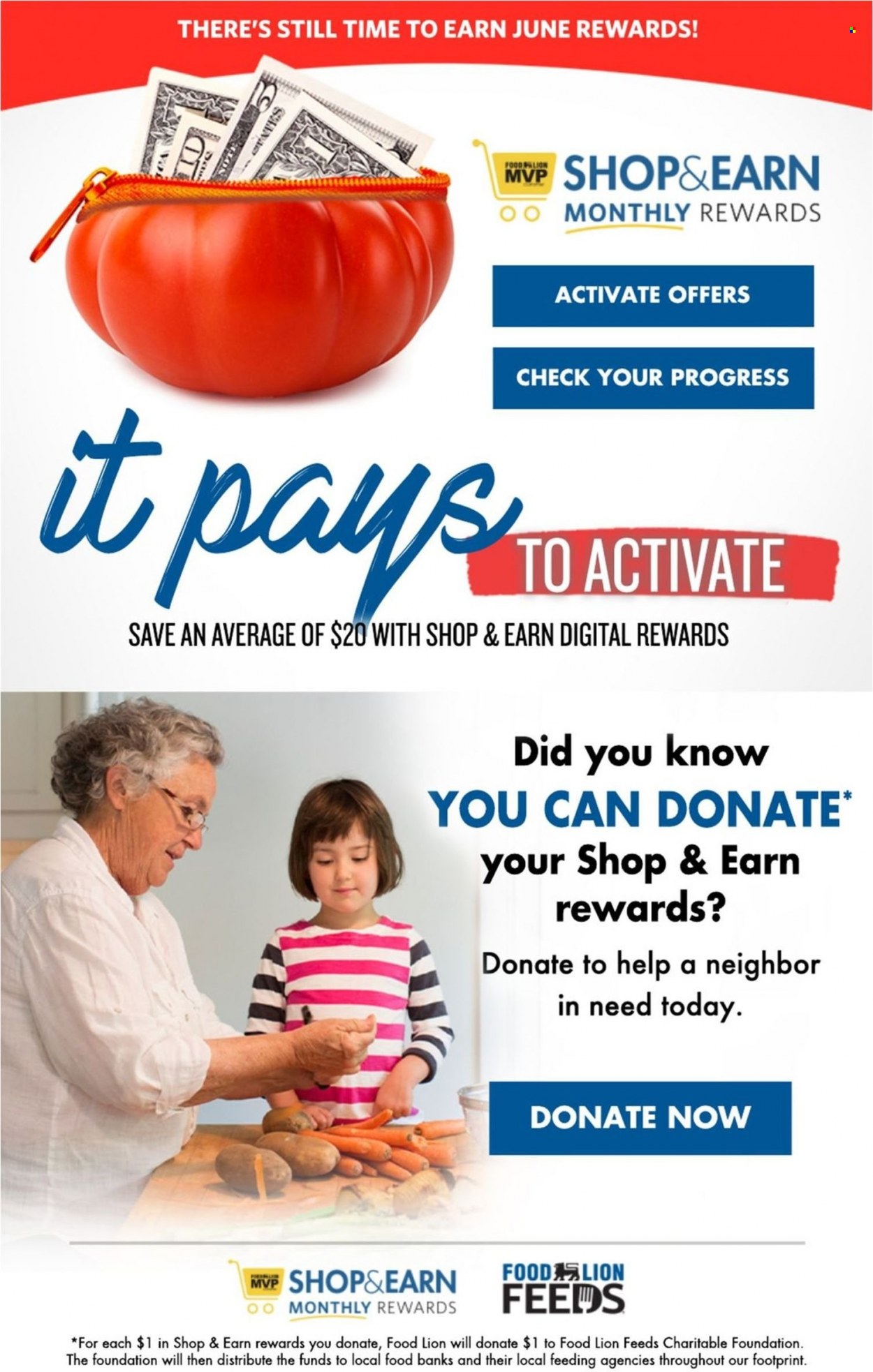 Food Lion ad - 06/29/2022 - 07/05/2022. Page 17