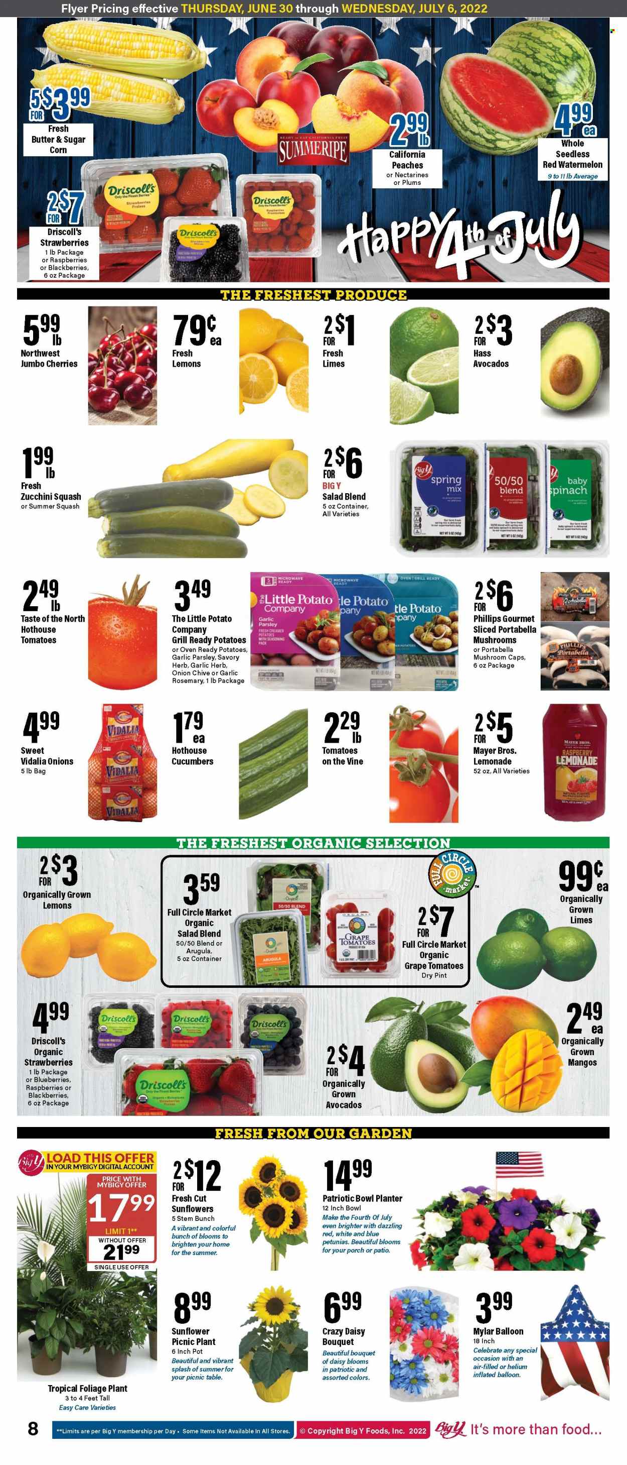 Big Y ad - 06/30/2022 - 07/06/2022. Page 8