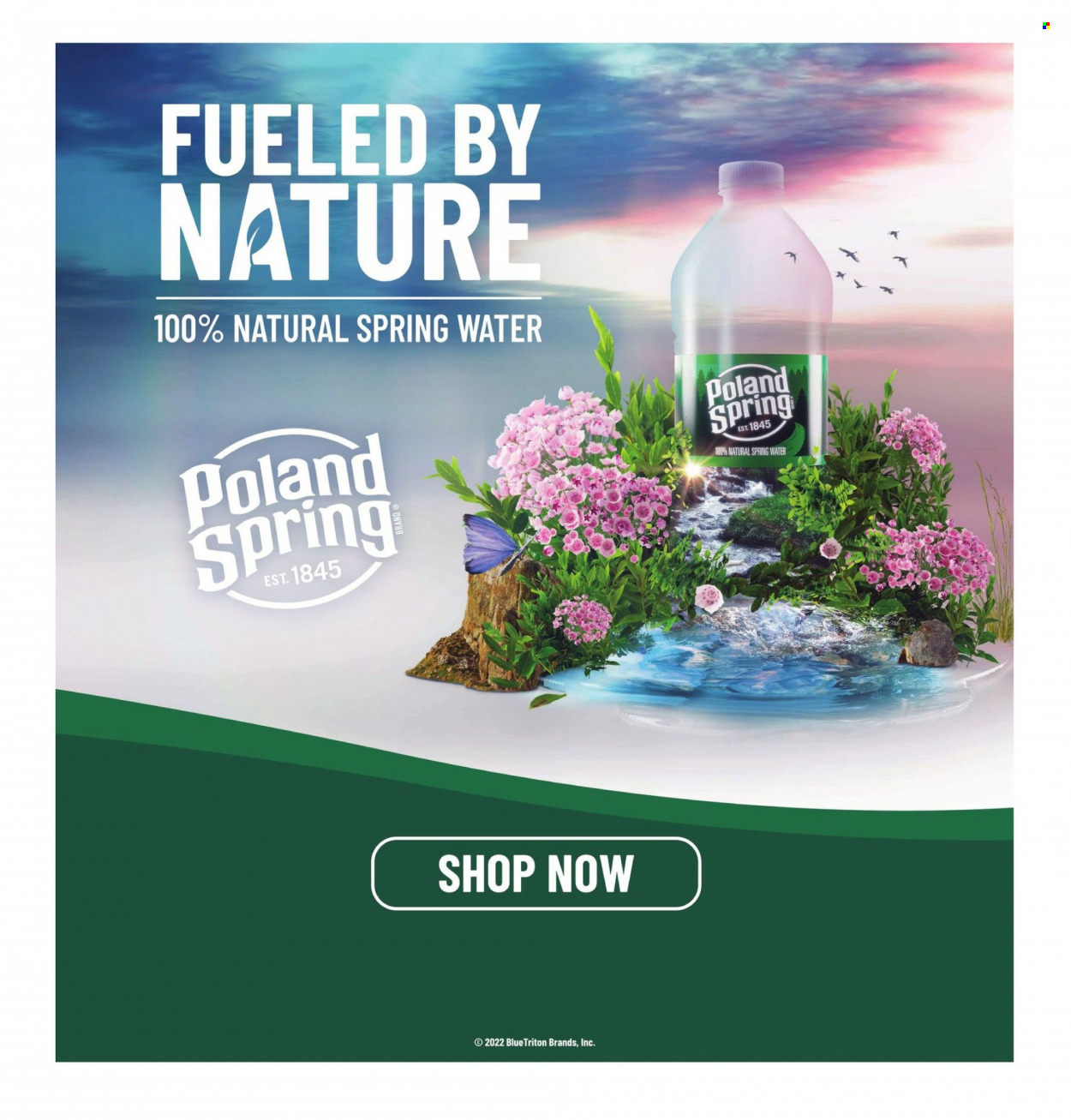 Hannaford ad - 07/03/2022 - 07/09/2022. Page 9
