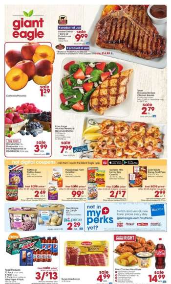Giant Eagle Flyer - 07/07/2022 - 07/13/2022.