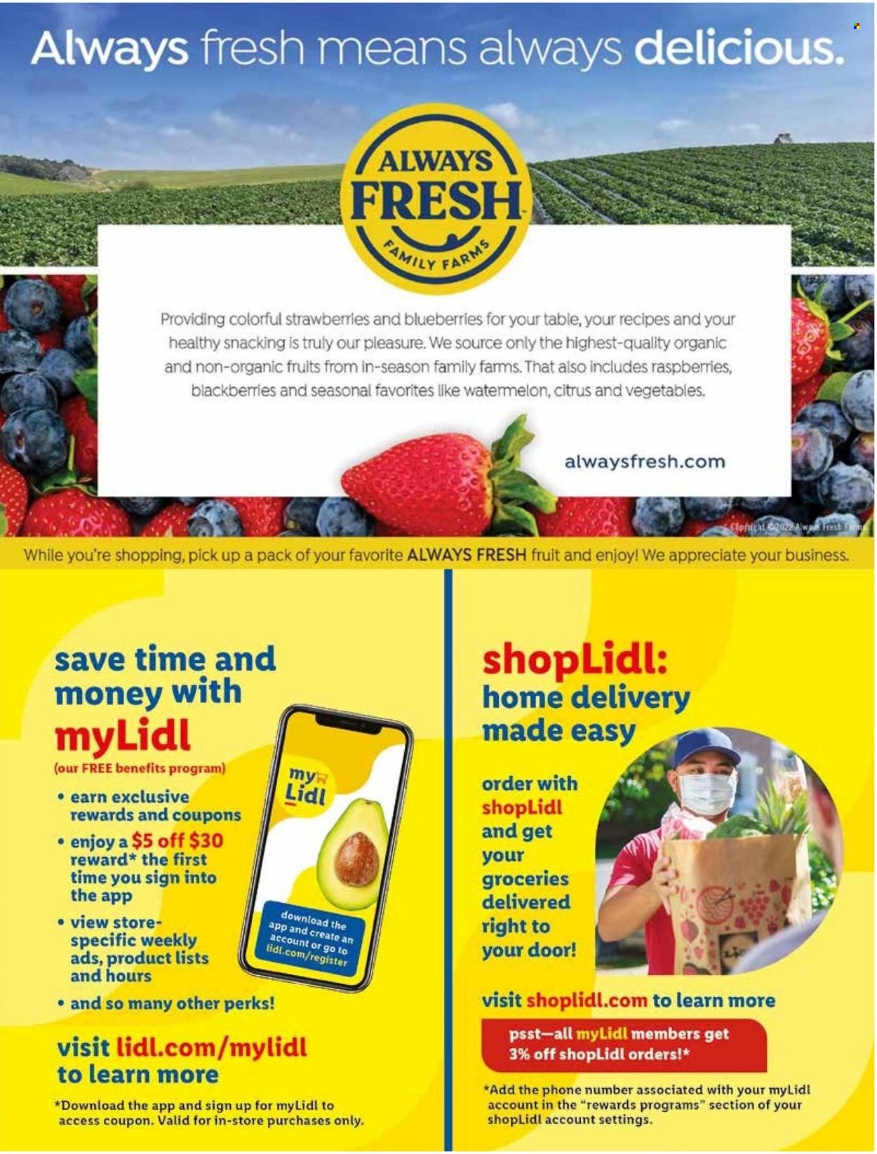Lidl ad - 07/27/2022 - 08/30/2022. Page 19