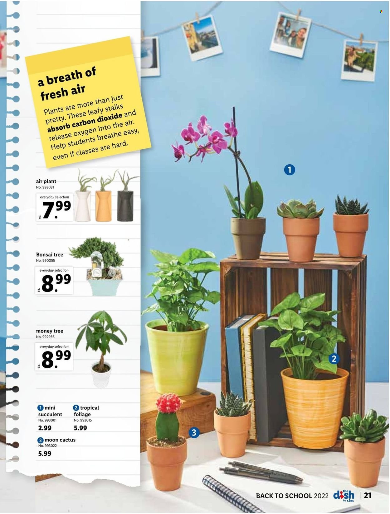 Lidl ad - 07/27/2022 - 08/30/2022. Page 21