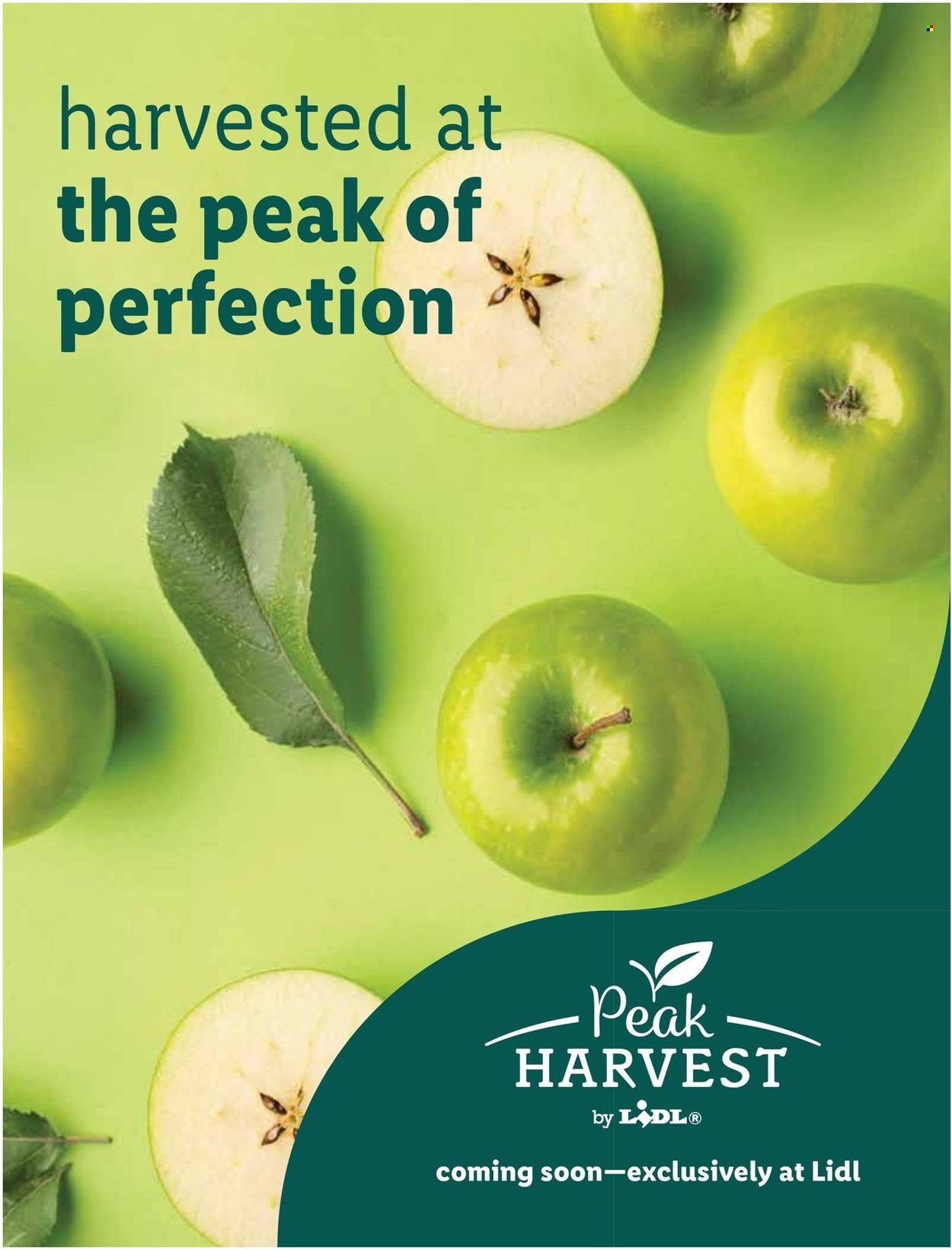 Lidl ad - 07/27/2022 - 08/30/2022. Page 36