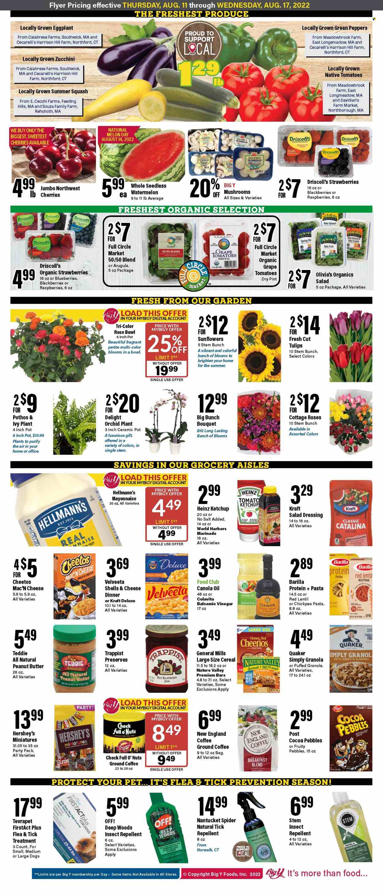 Big Y ad - 08/11/2022 - 08/17/2022. Page 5