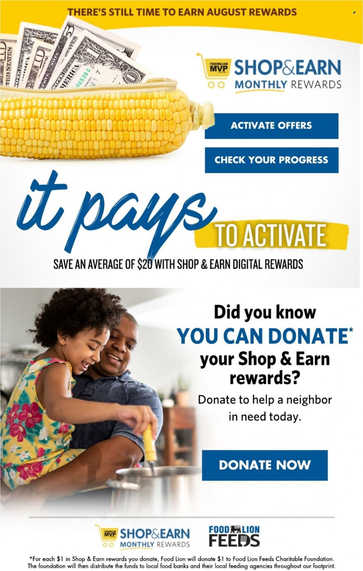 Food Lion ad - 08/24/2022 - 08/30/2022. Page 17