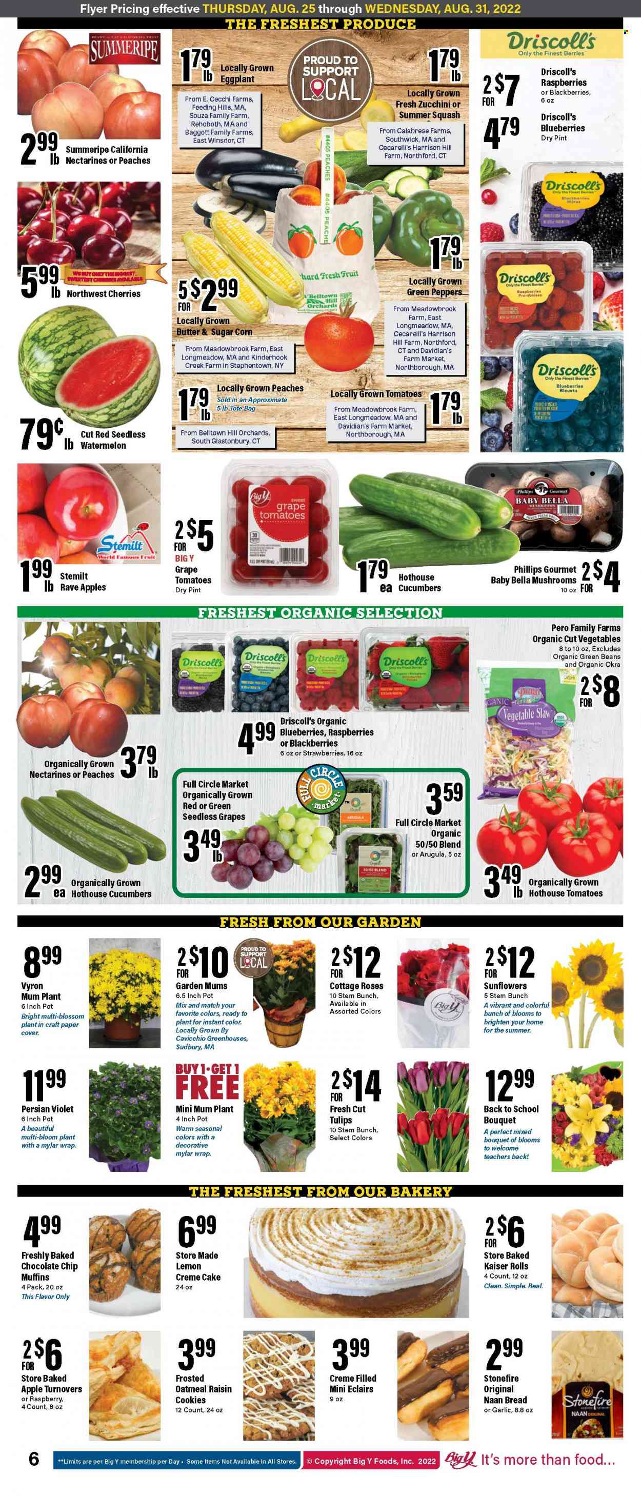Big Y ad - 08/25/2022 - 08/31/2022. Page 7