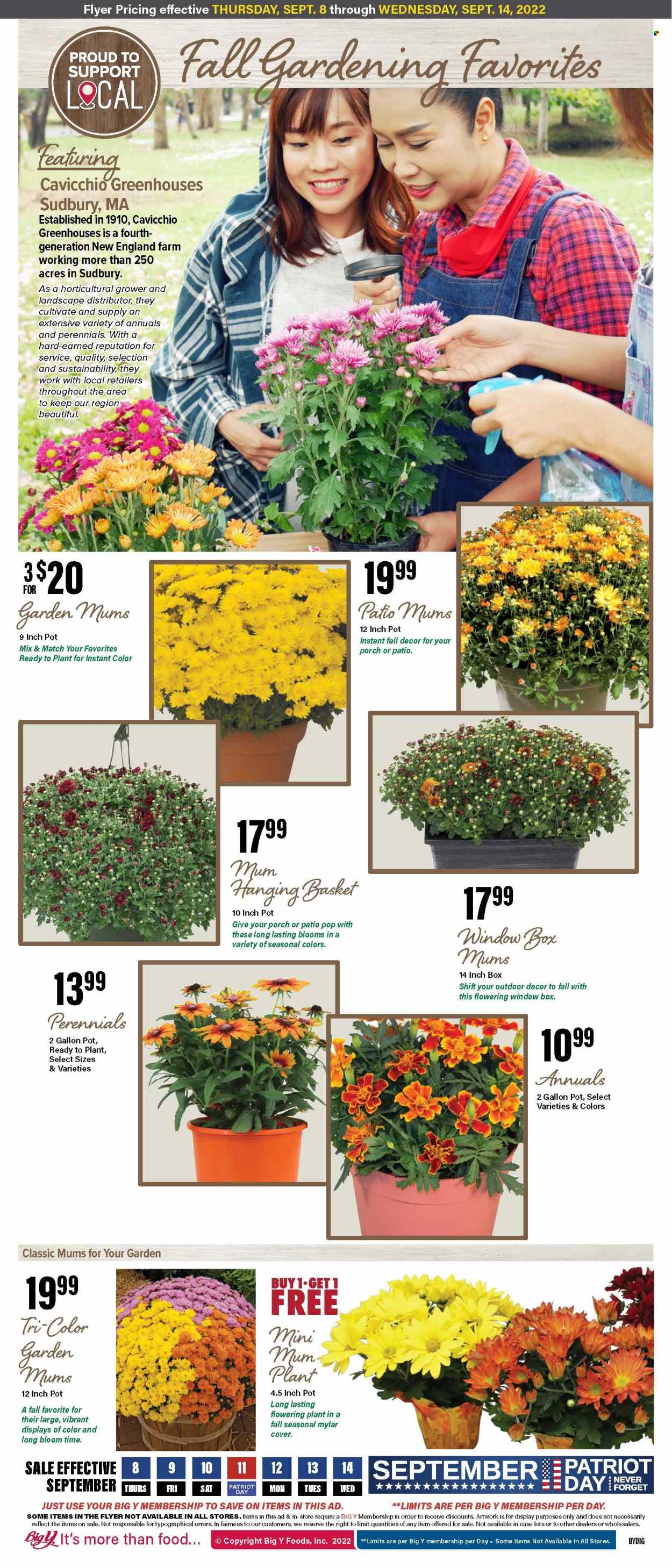 Big Y ad - 09/08/2022 - 09/14/2022. Page 7