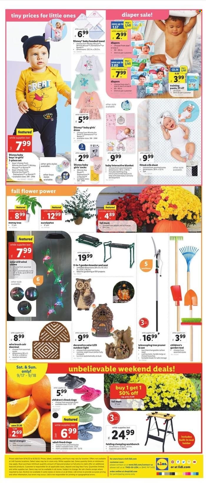 Lidl ad - 09/14/2022 - 09/20/2022. Page 4