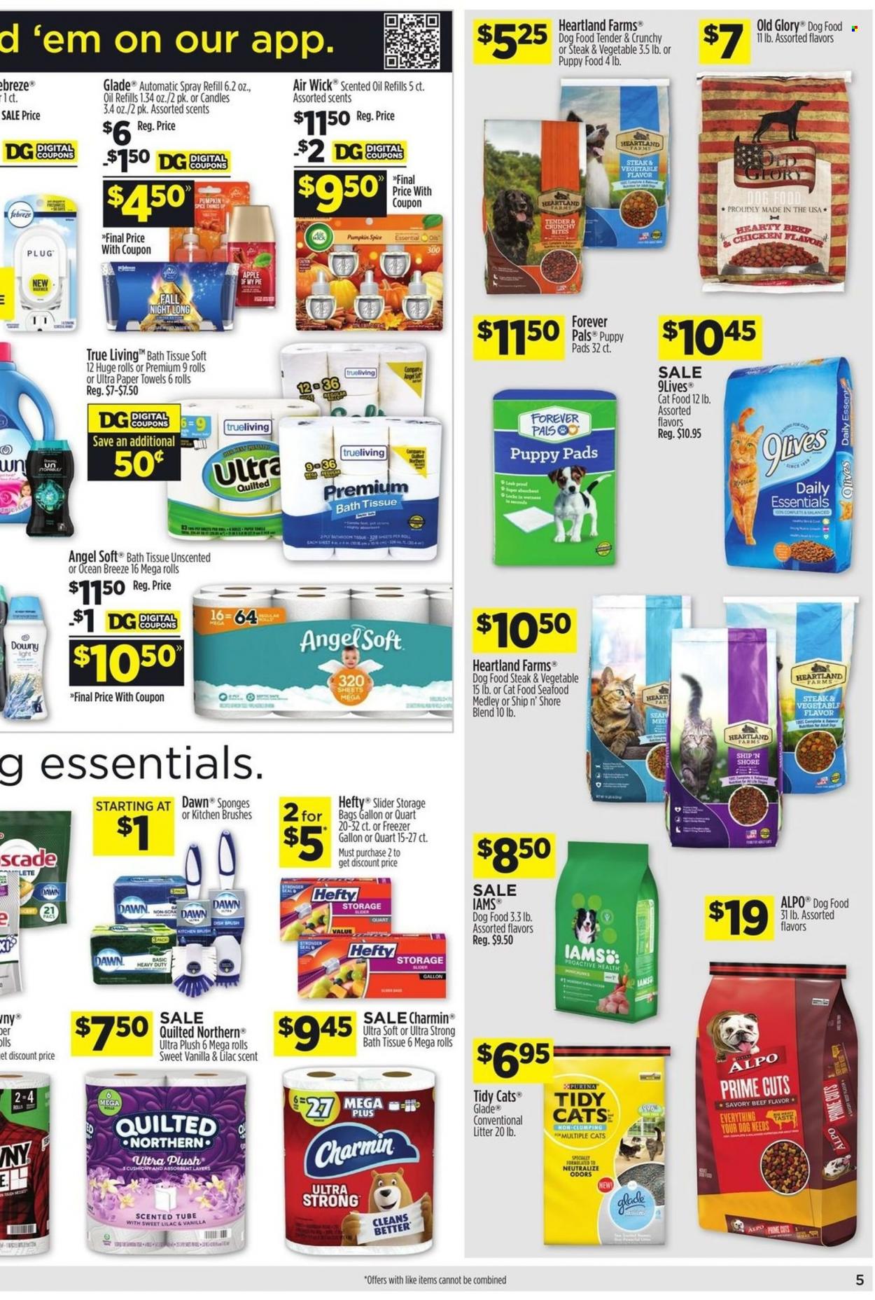 Dollar General ad - 09/11/2022 - 09/17/2022. Page 6