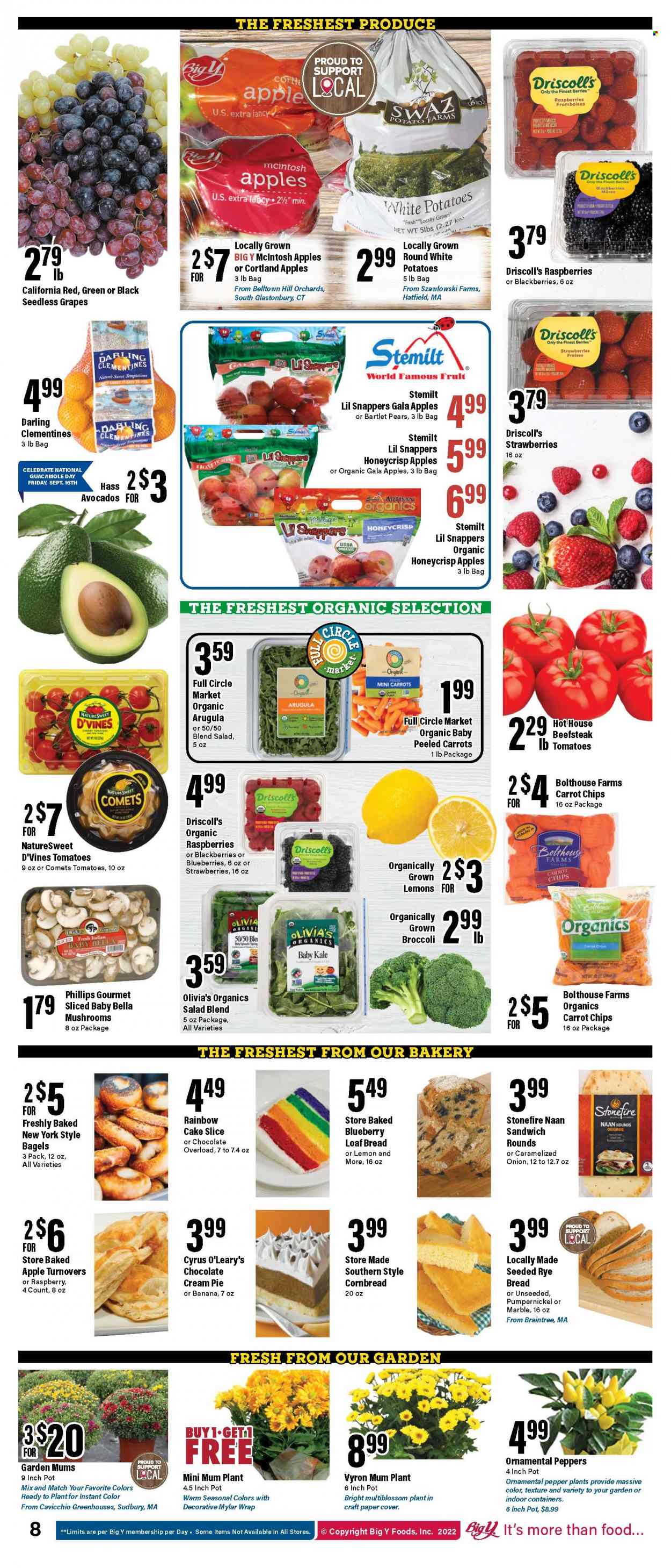 Big Y ad - 09/15/2022 - 09/21/2022. Page 10