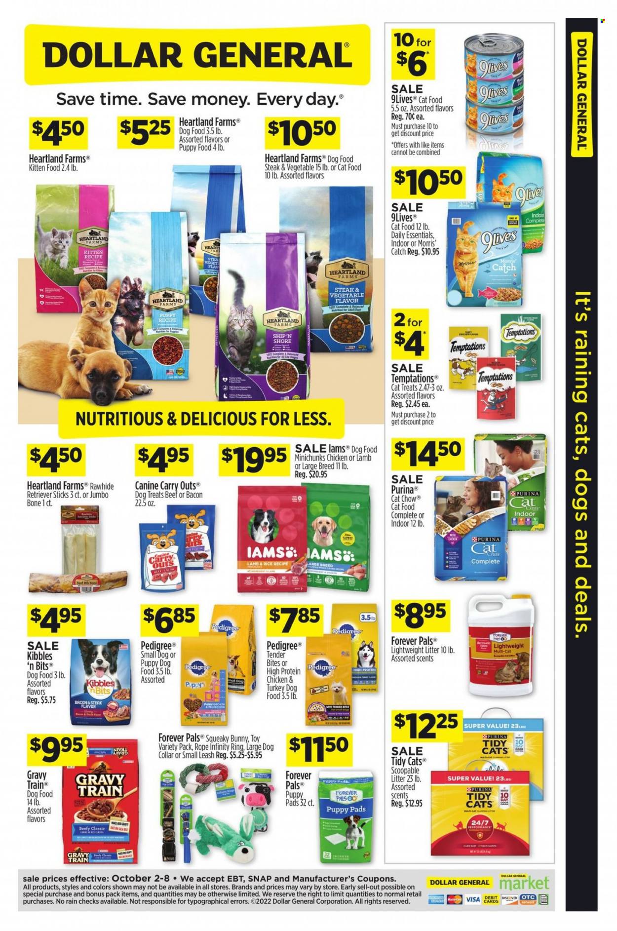 Dollar General ad - 10/02/2022 - 10/08/2022. Page 1