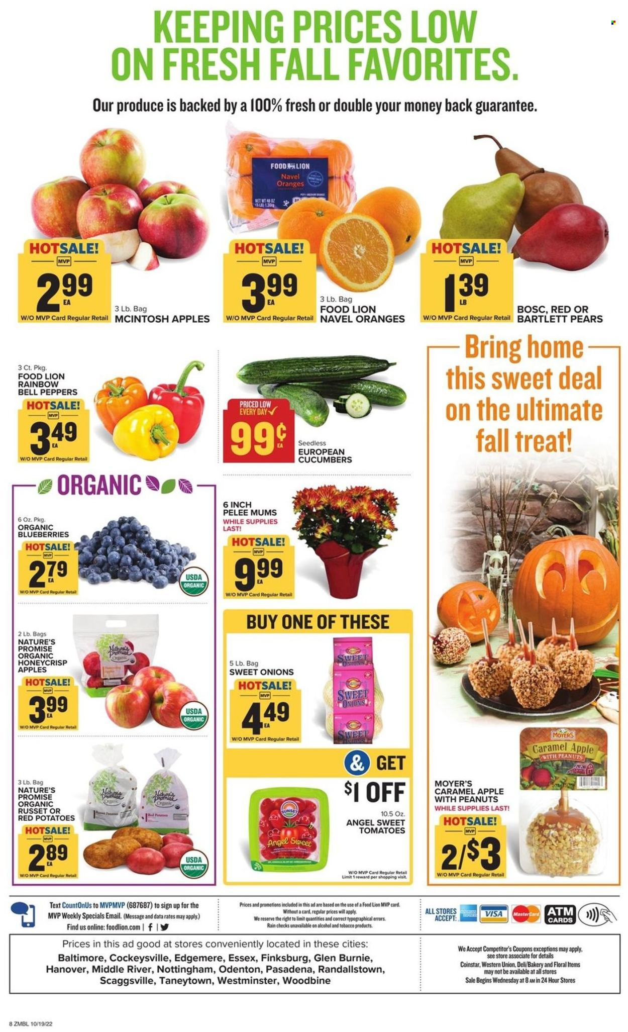 Food Lion ad - 10/19/2022 - 10/25/2022. Page 8