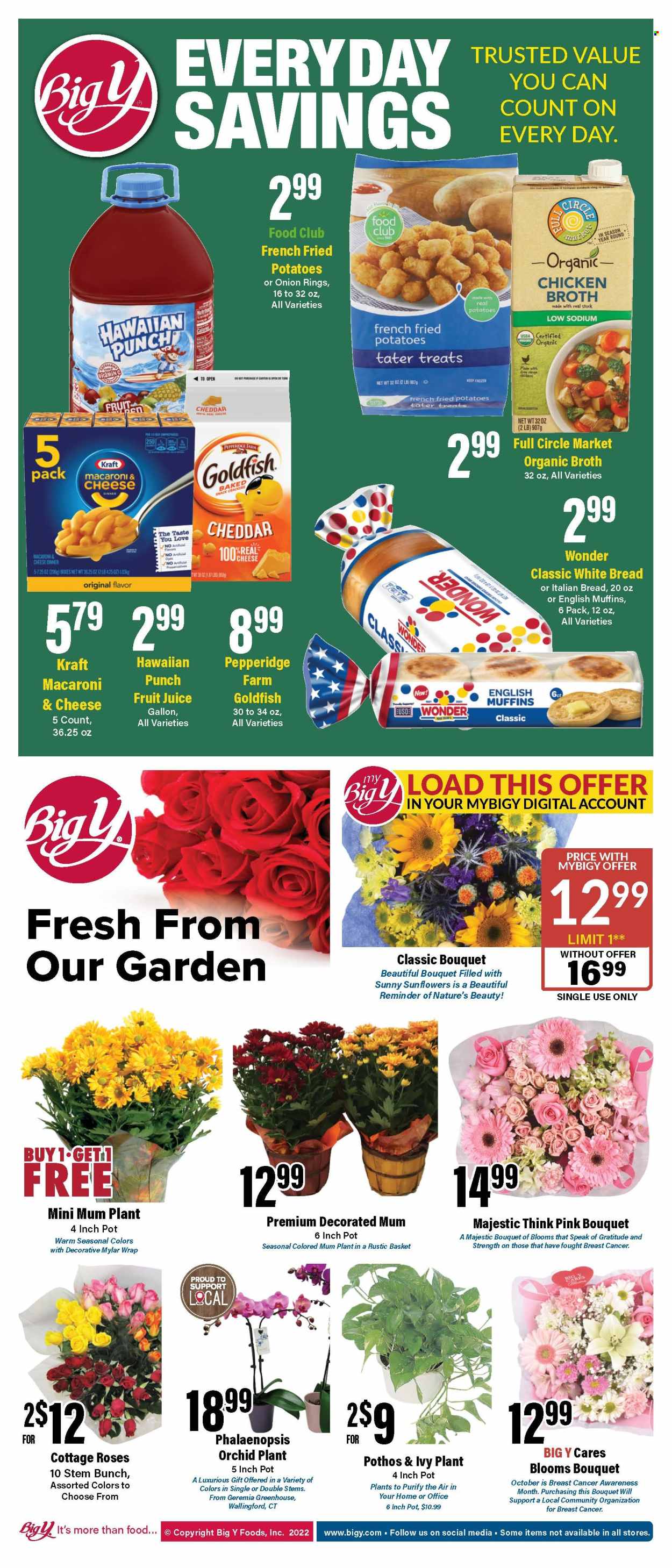 Big Y ad - 10/20/2022 - 10/26/2022. Page 2