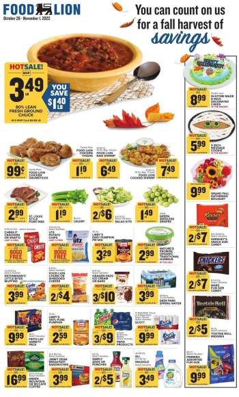 Food Lion Ad