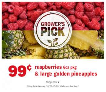 Meijer Flyer - 10/28/2022 - 10/29/2022.