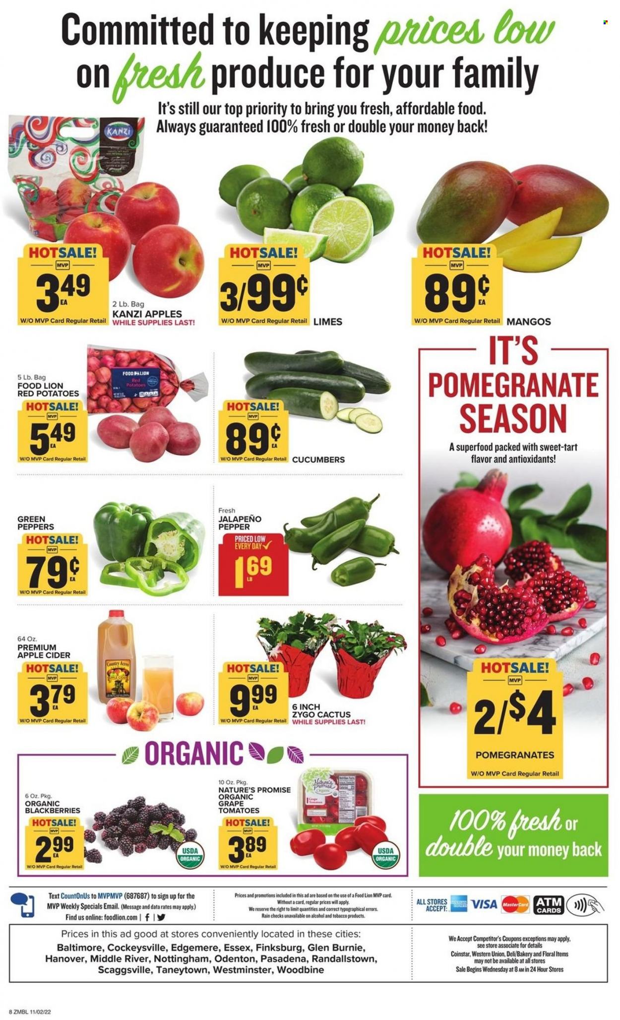 Food Lion ad - 11/02/2022 - 11/08/2022. Page 8