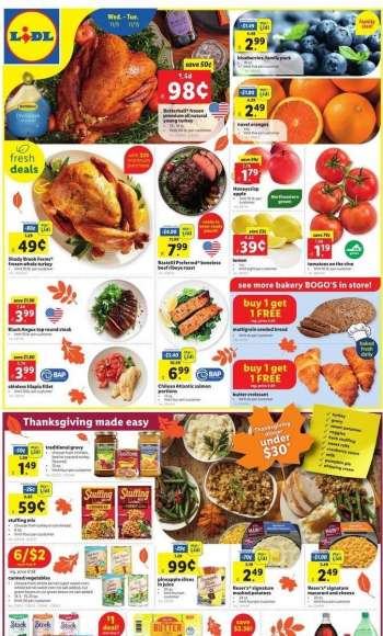 Lidl Flyer - 11/09/2022 - 11/15/2022.