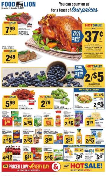 Food Lion Flyer - 11/09/2022 - 11/15/2022.
