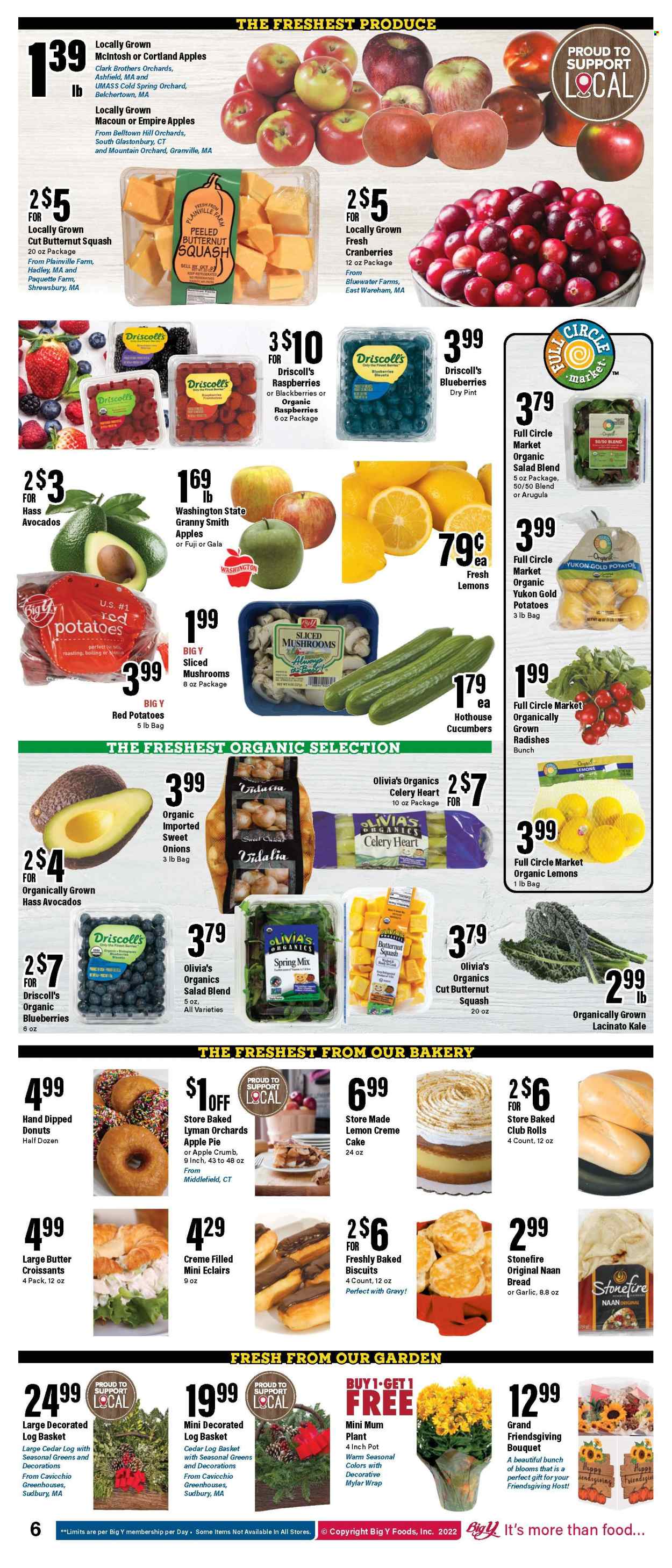 Big Y ad - 11/10/2022 - 11/16/2022. Page 7