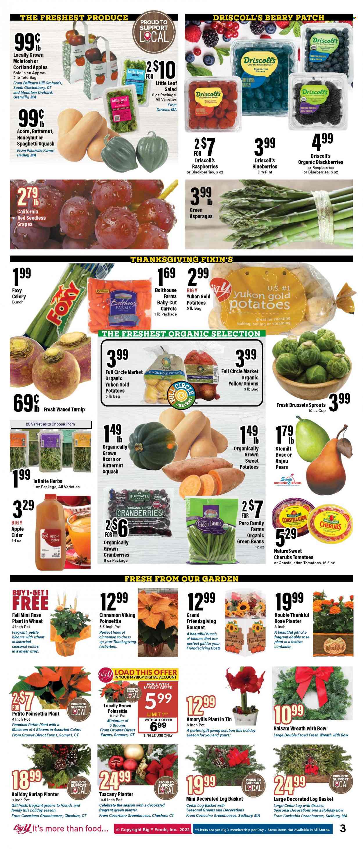 Big Y ad - 11/17/2022 - 11/23/2022. Page 3