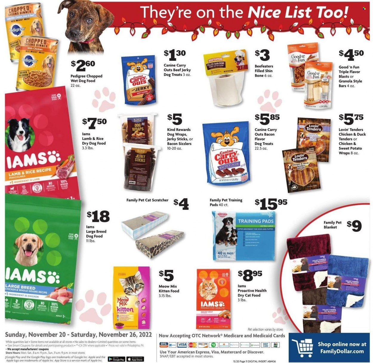 Family Dollar ad - 11/20/2022 - 11/26/2022. Page 17
