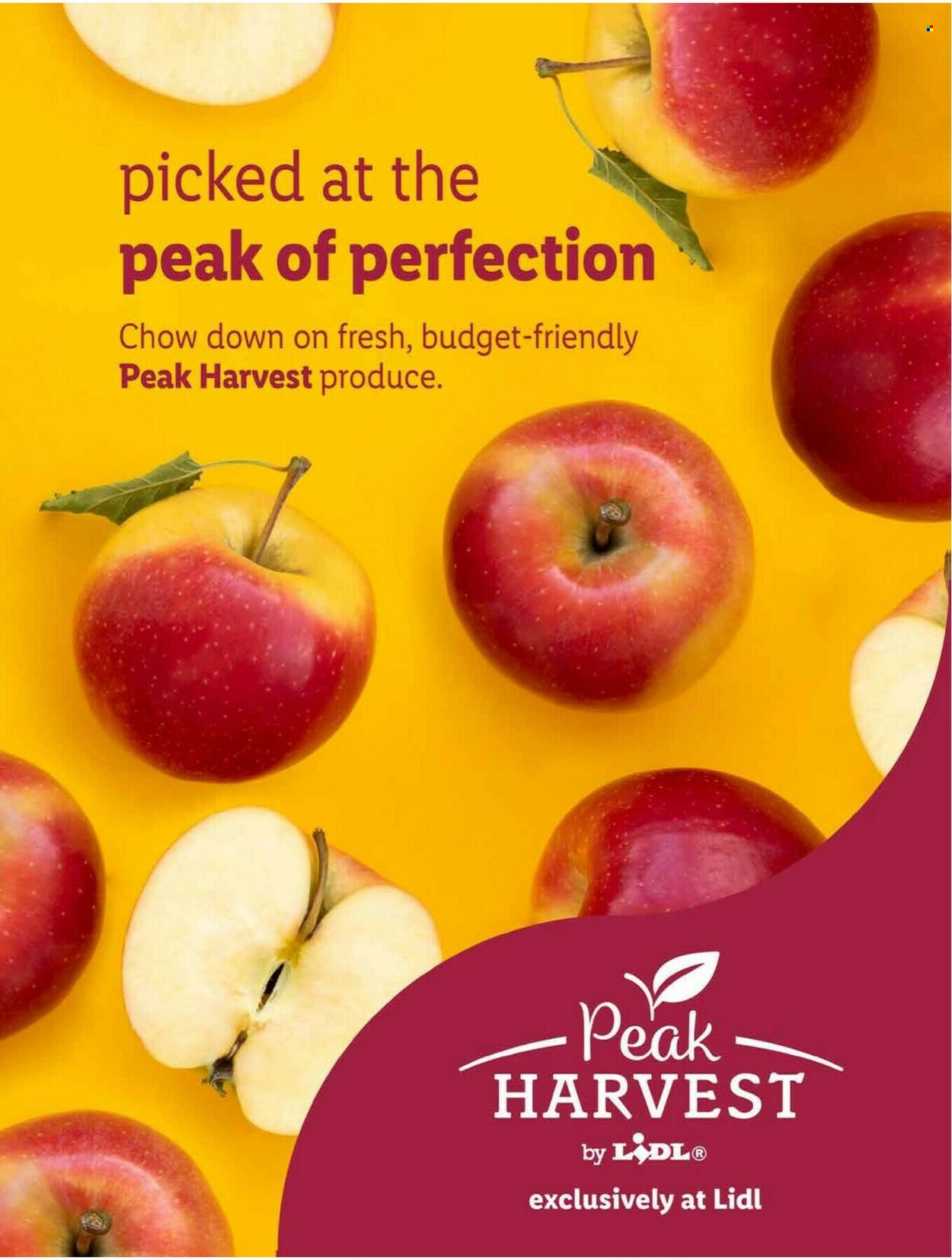 Lidl ad - 11/23/2022 - 12/27/2022. Page 19