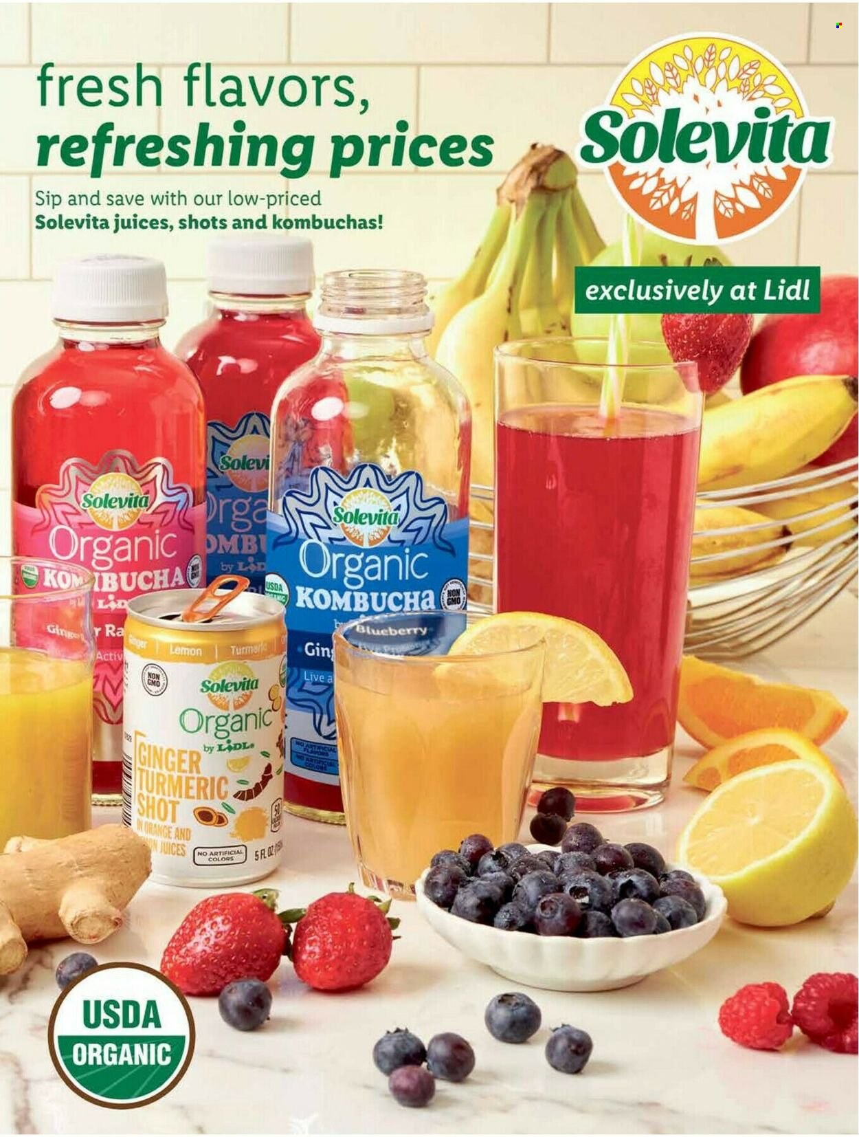 Lidl ad - 11/23/2022 - 12/27/2022. Page 49