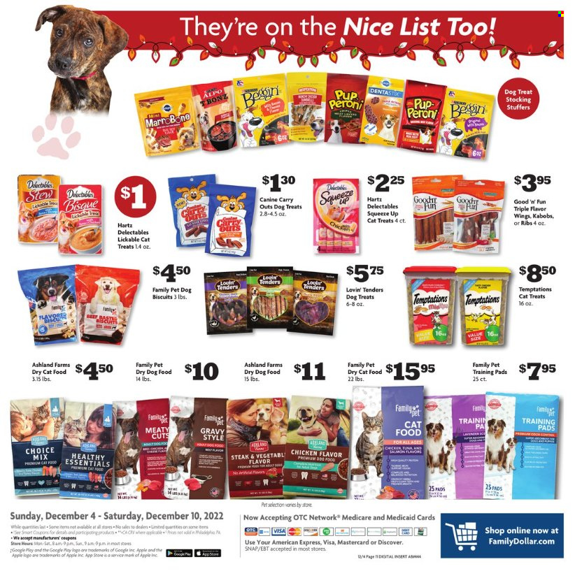 Family Dollar ad - 12/04/2022 - 12/10/2022. Page 21