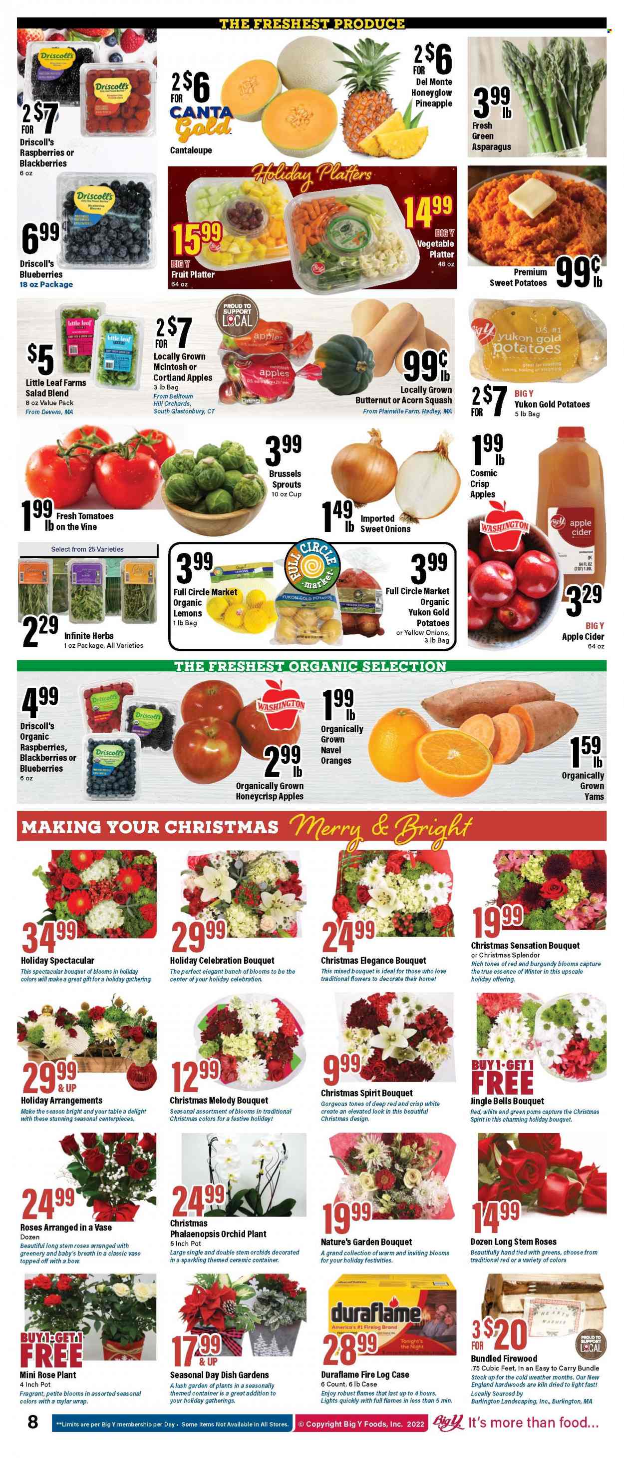 Big Y ad - 12/15/2022 - 12/28/2022. Page 9