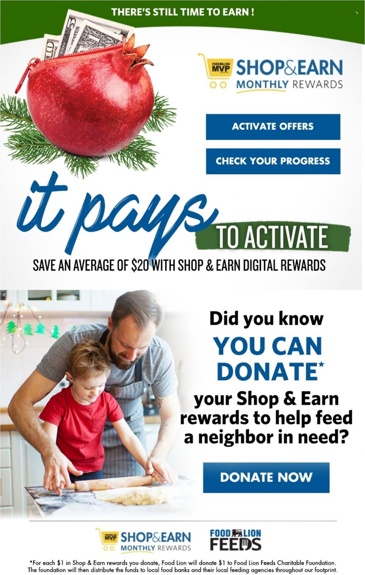 Food Lion ad - 12/28/2022 - 01/03/2023. Page 17