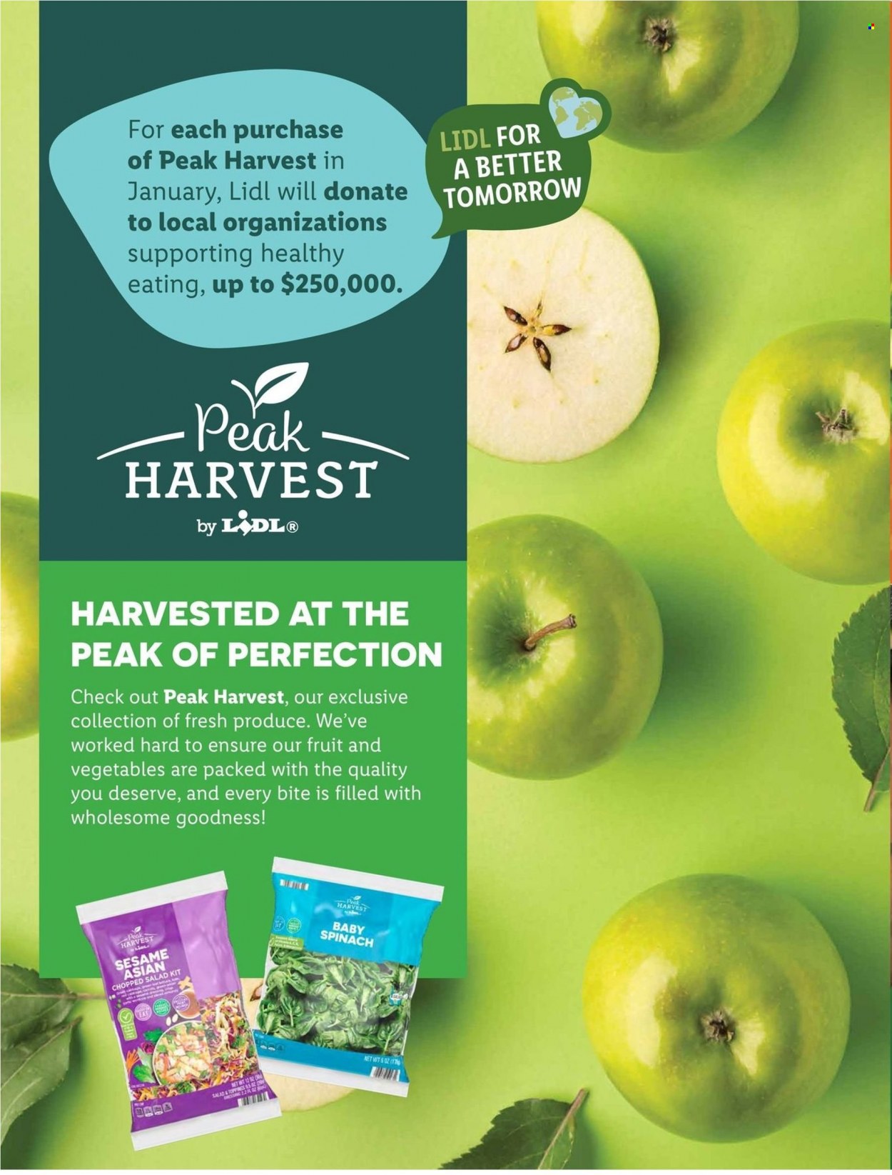Lidl ad - 12/28/2022 - 01/31/2023. Page 10