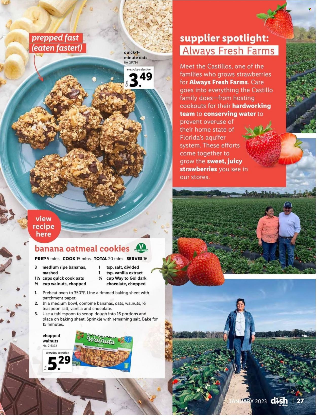 Lidl ad - 12/28/2022 - 01/31/2023. Page 27