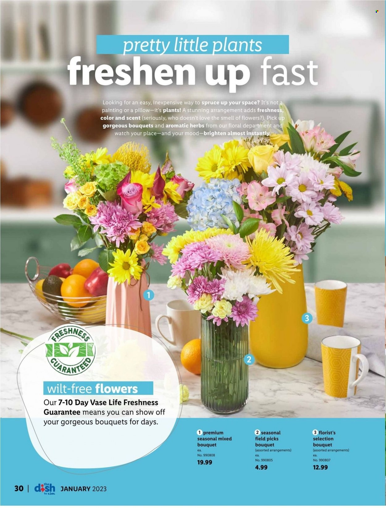 Lidl ad - 12/28/2022 - 01/31/2023. Page 30