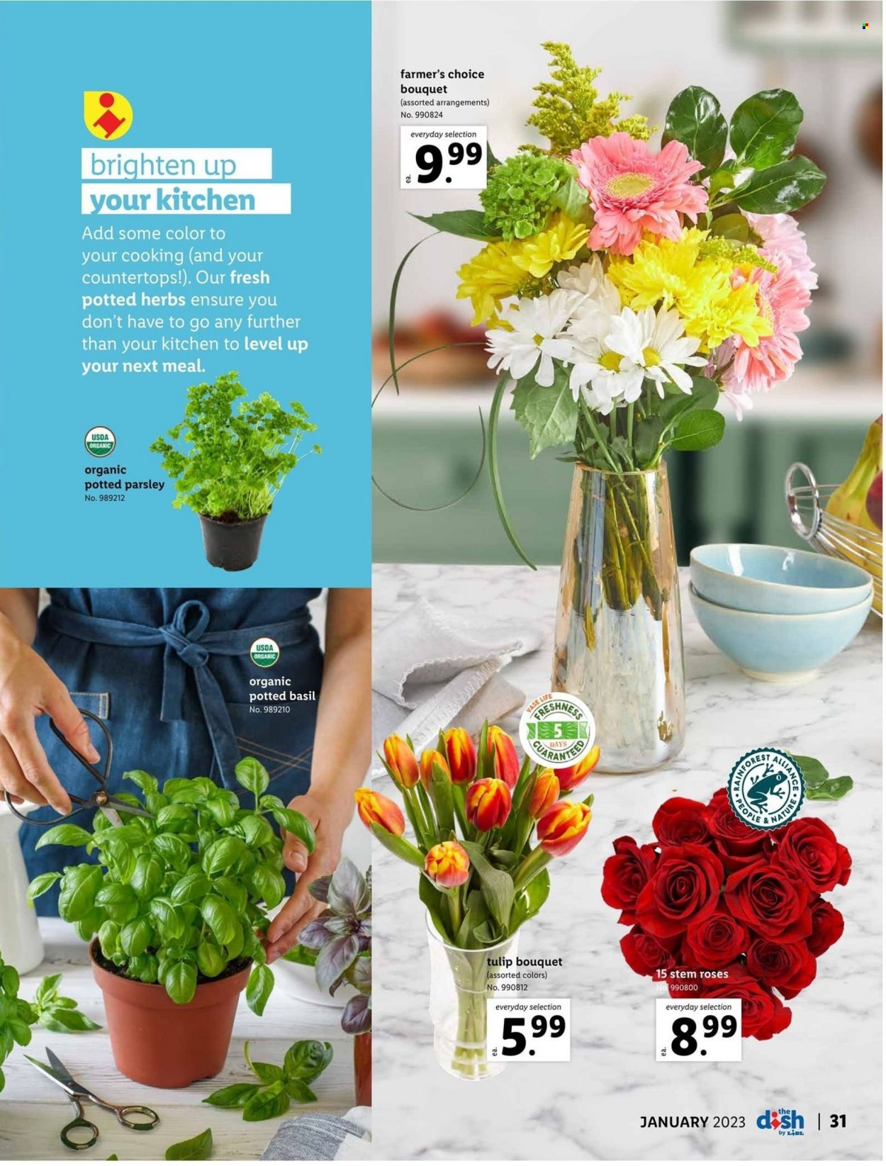 Lidl ad - 12/28/2022 - 01/31/2023. Page 31